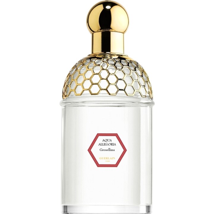 Aqua Allegoria Grosellina